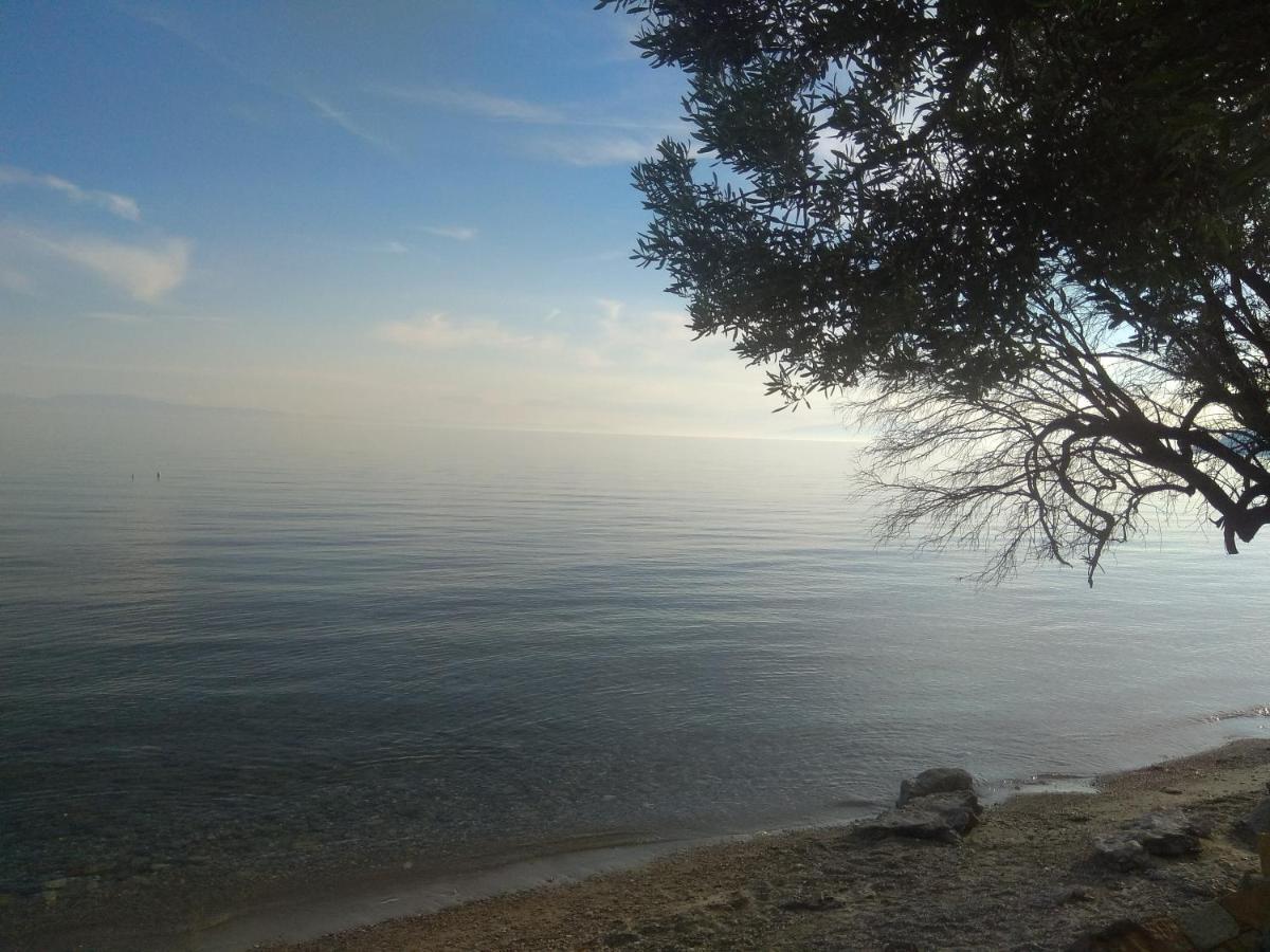 Villa Nadia Nea Skioni Dış mekan fotoğraf