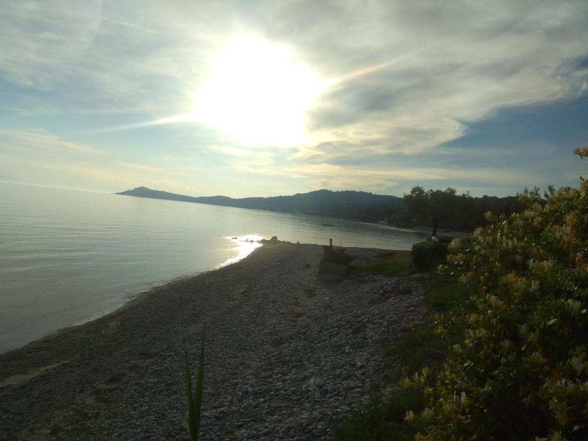 Villa Nadia Nea Skioni Dış mekan fotoğraf
